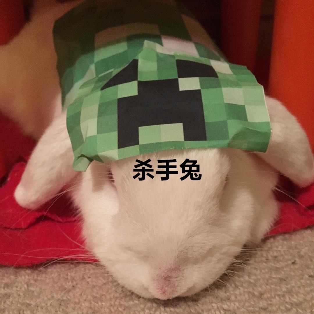 minecraft里的狗怎么才能有,minecraft如何养熊猫