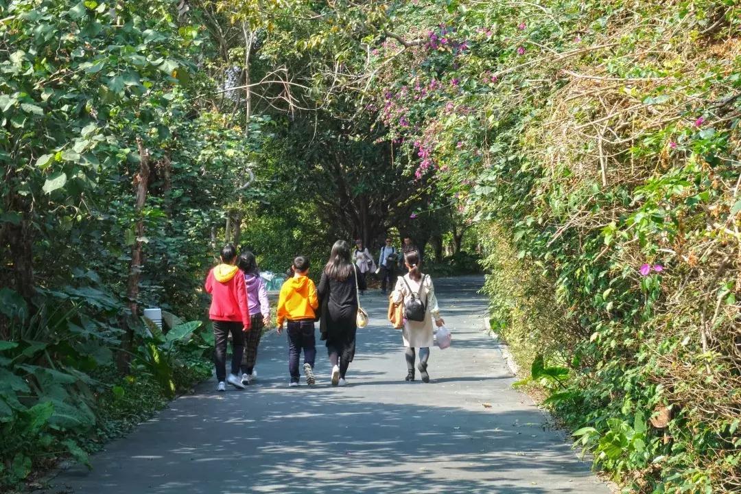 深圳世界之窗充满回忆,深圳世界之窗景点大全