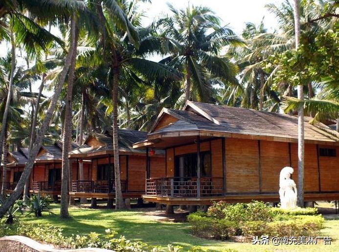 浙江省新农村发展致富新模式,农村致富新项目种植业