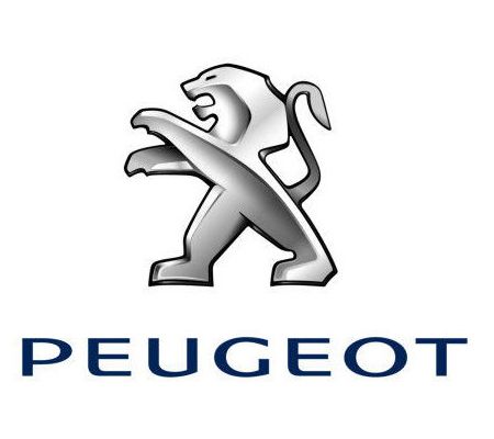 法系标致508,哪些法系二手车值得入手