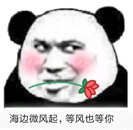 开心ol还在运营吗,开心ol攻略
