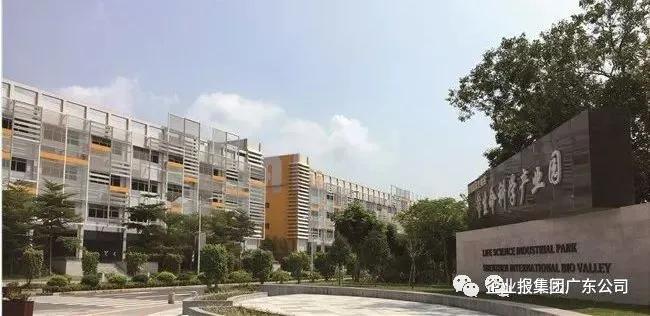 蓝智康大健康上市,澳蓝智康科技集团怎么样