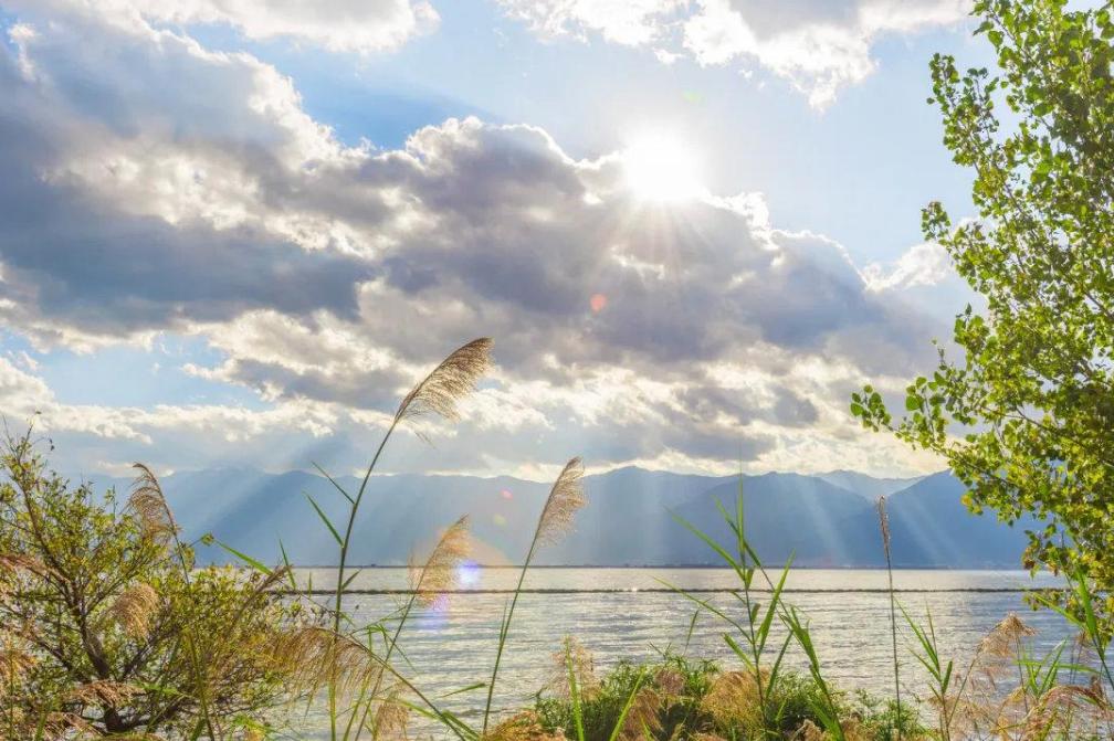 佛学人生智慧原文及注解,佛法感悟人生的四字禅语