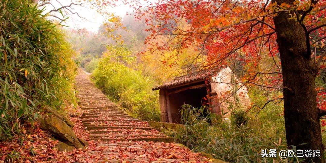 绍兴古道攻略一日游自由行,此生必去的三条国道