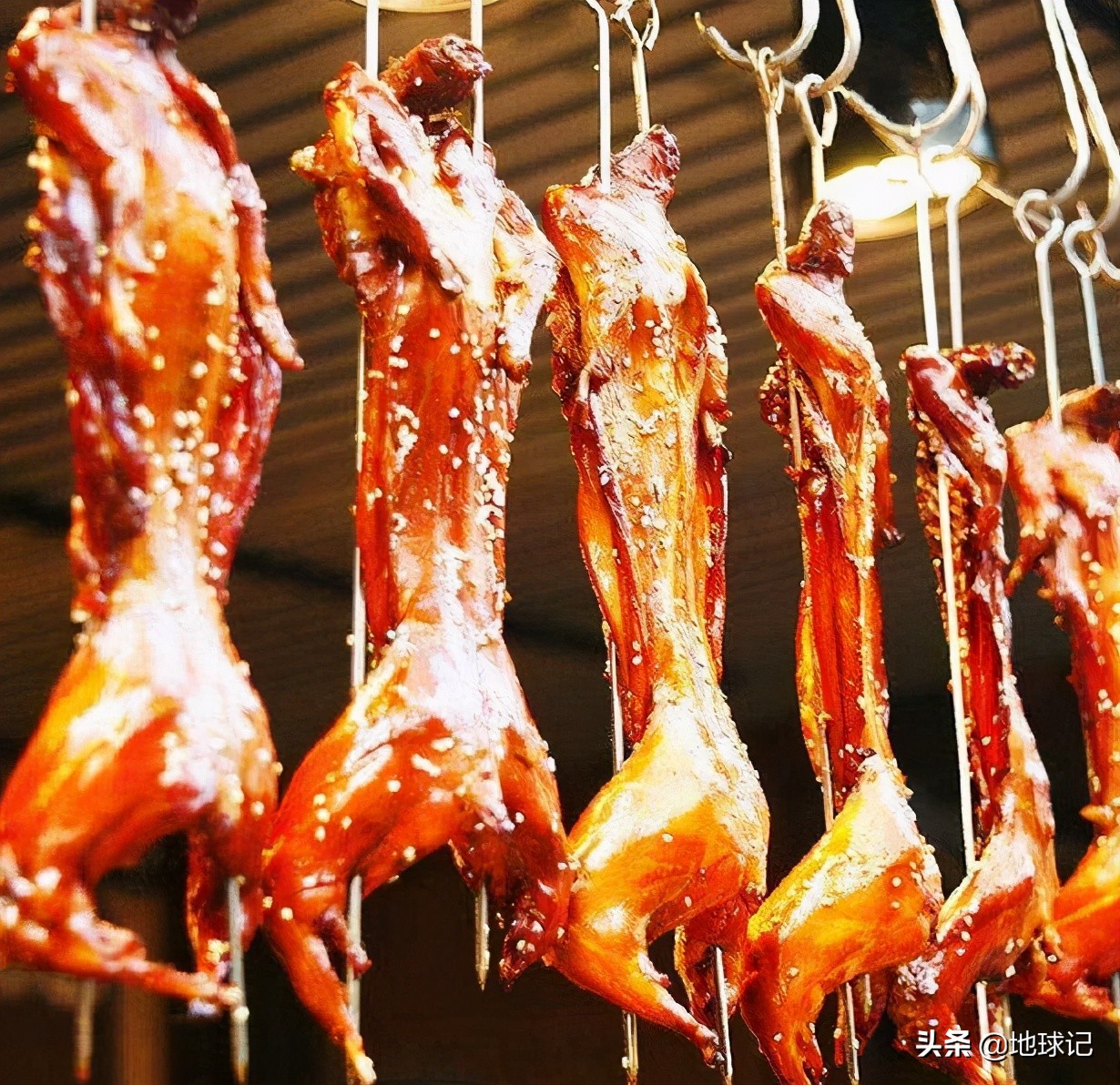 澳大利亚和兔子的五次战争,澳大利亚兔子大战是怎么回事