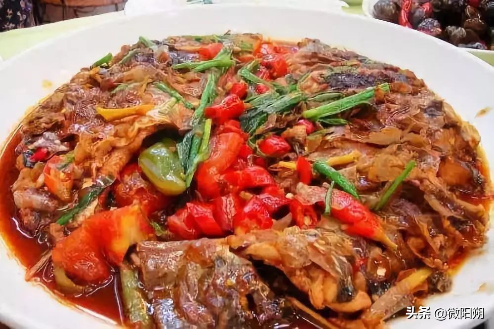 一封来自阳朔的辞职信，刷遍了朋友圈……