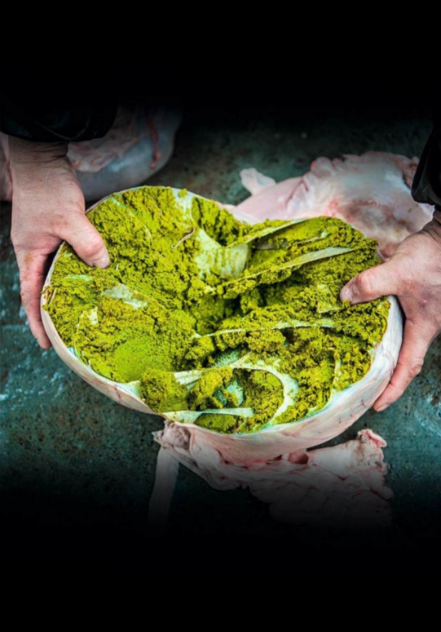 重口味伤肝还是伤肾,重口味伤肝吗