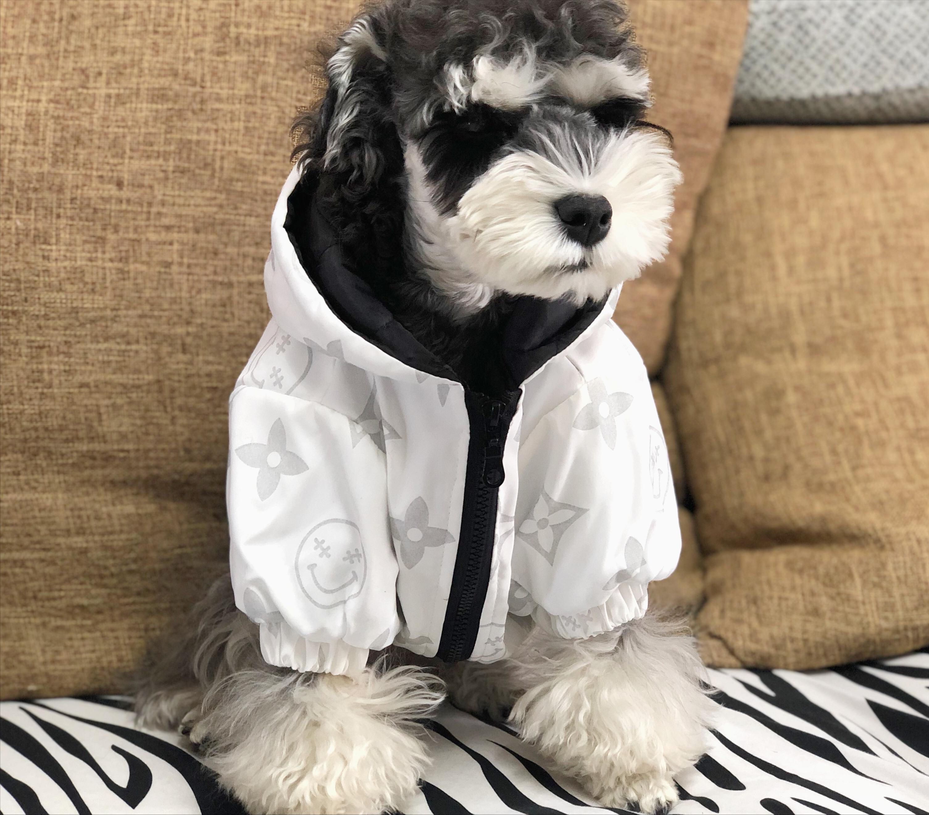 养狗后需要什么条件,养狗之后容易患上这几种病