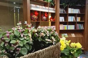 这家荣获“金樽奖”的酒店，实至名归，超多惊喜，客房+美食+商务+休闲+艺术……来了就不想走