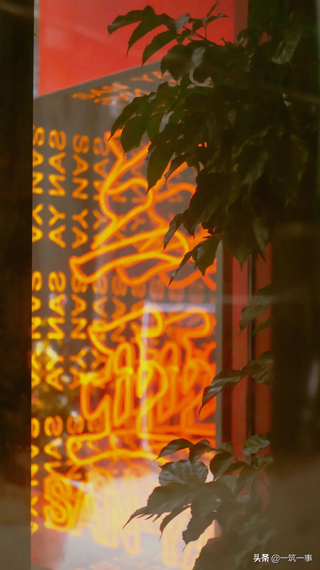 三亚郊外的海边社区,这里藏着“流量密码”还是另一种生活?