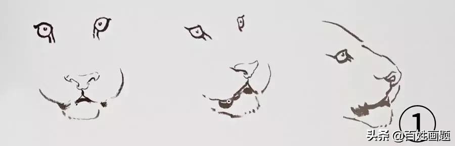 老虎简单写意,写意老虎图片