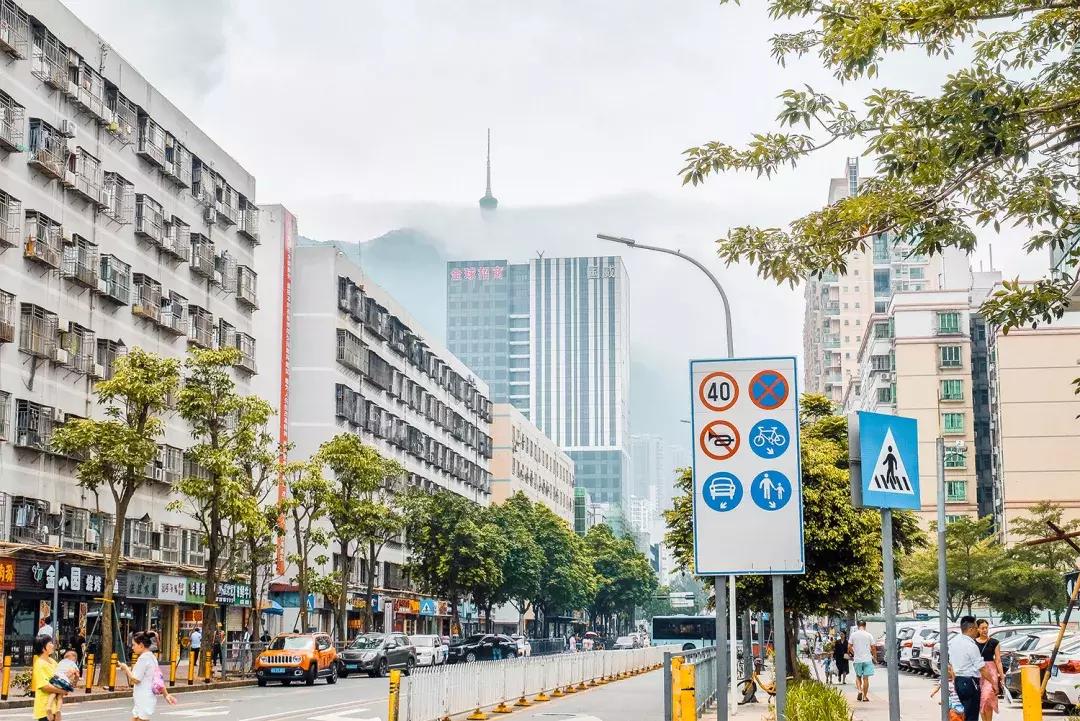 附近莲塘,附近的莲塘