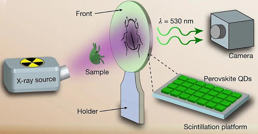 长余辉+*土稀**纳米晶=柔性X射线探测