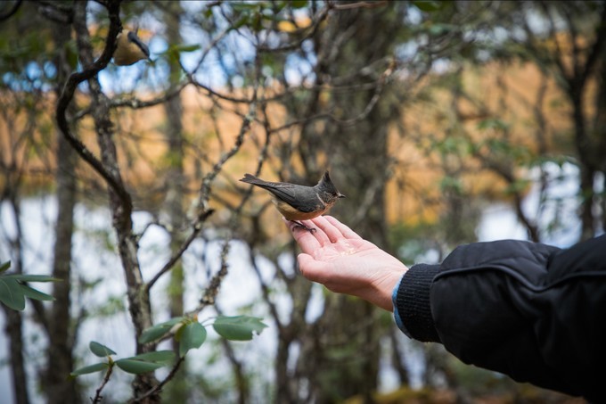 消失的地平线上的“香巴拉”和“女儿国”（二）