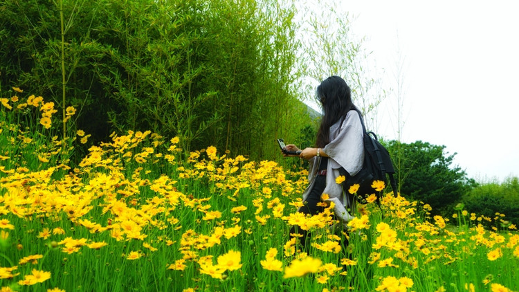 茅山宝盛园周边游玩,茅山宝盛园所有游乐设施