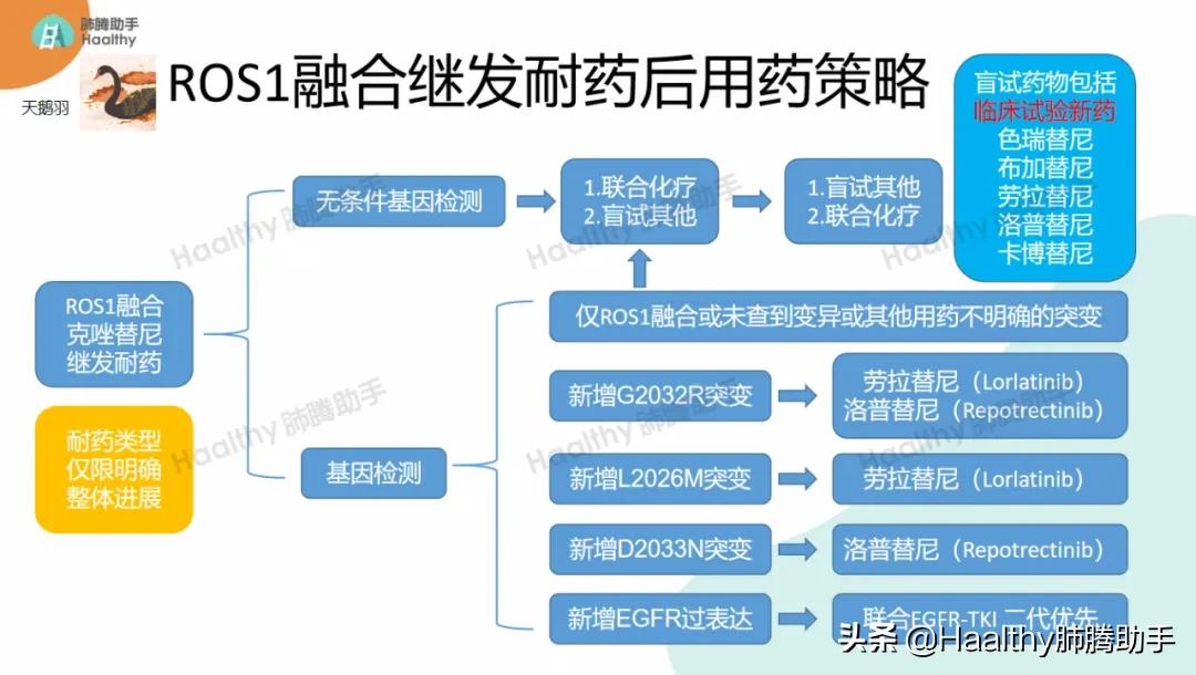 ros1突变靶向治疗能生存八年,ros1突变靶向药需要直接用二代吗