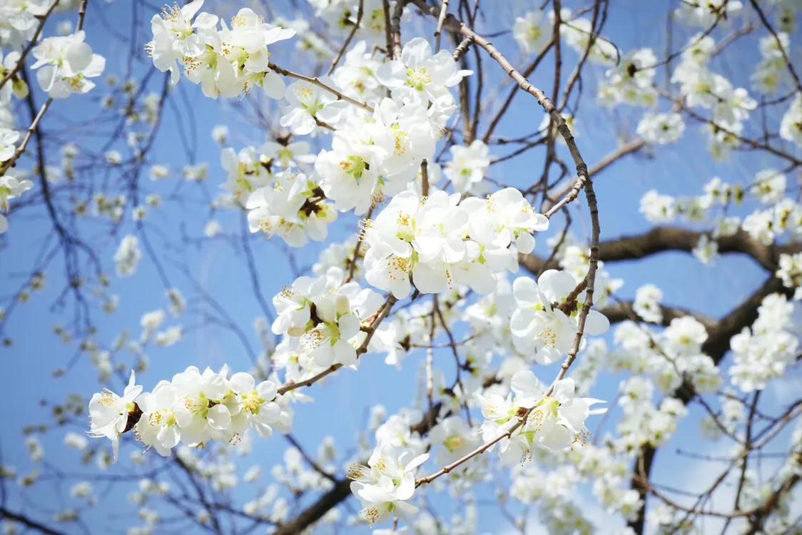 清明去密云清凉谷,北京密云清凉谷玻璃天桥