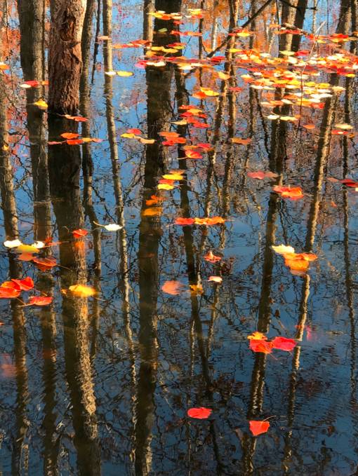 阿勒泰秋天有多美,秋天的新疆阿勒泰太美