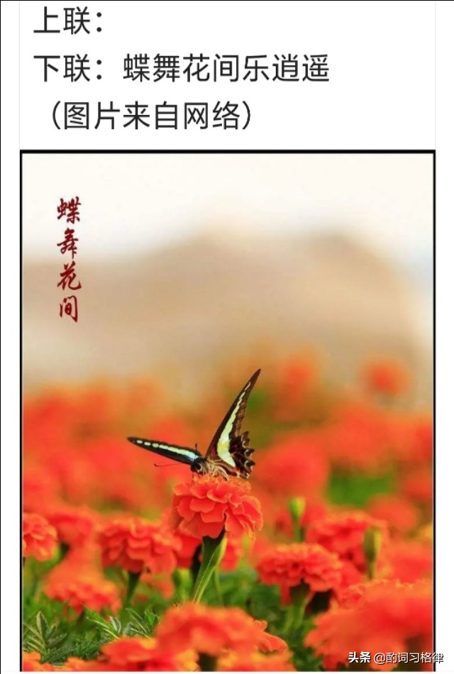 图片唯美意境风景加文字,图片唯美意境带文字