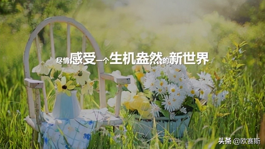 第八届超级品牌日,超级品牌日