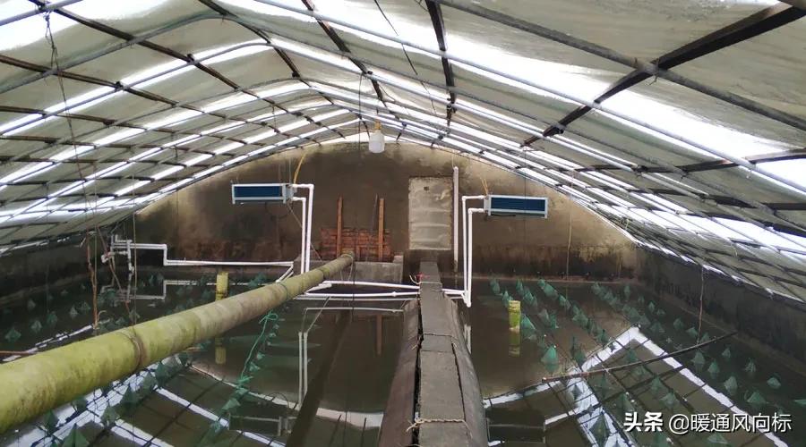 三大案例,带你走进农业种植大棚、畜牧养殖和水产养殖供热市场