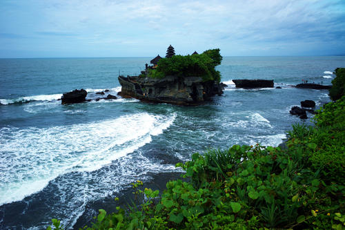 头骨最值钱鸟,头骨很珍贵的鸟
