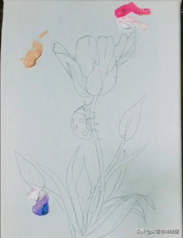 用丙烯马克笔画超简单的蝴蝶,用丙烯马克笔画简单可爱的小动物