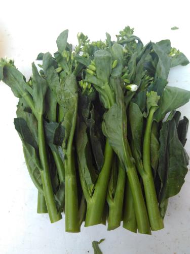 叶菜品类表,叶菜类一览表