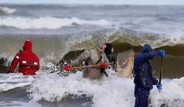 海滩捡蜜蜡,海边捡蜜蜡的利润