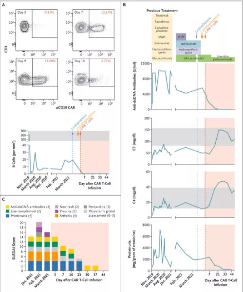 是否能从免疫学角度治疗红斑狼疮,干细胞疗法对红斑狼疮的治疗效果