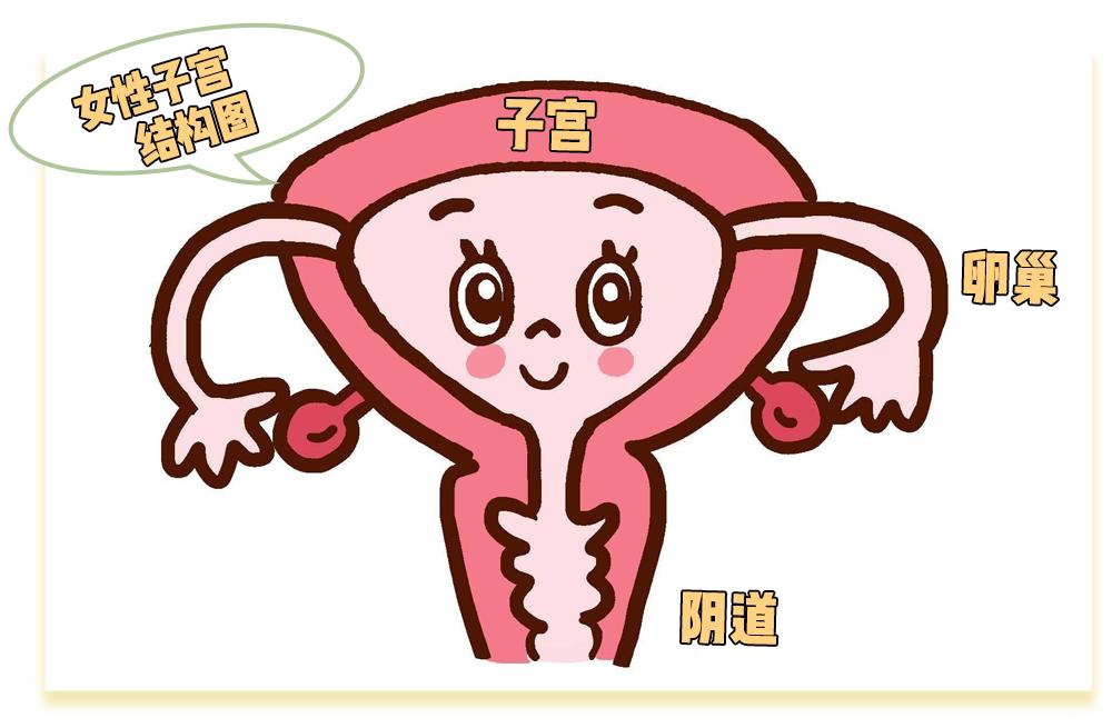 霉菌性阴道炎真的是发霉了吗？