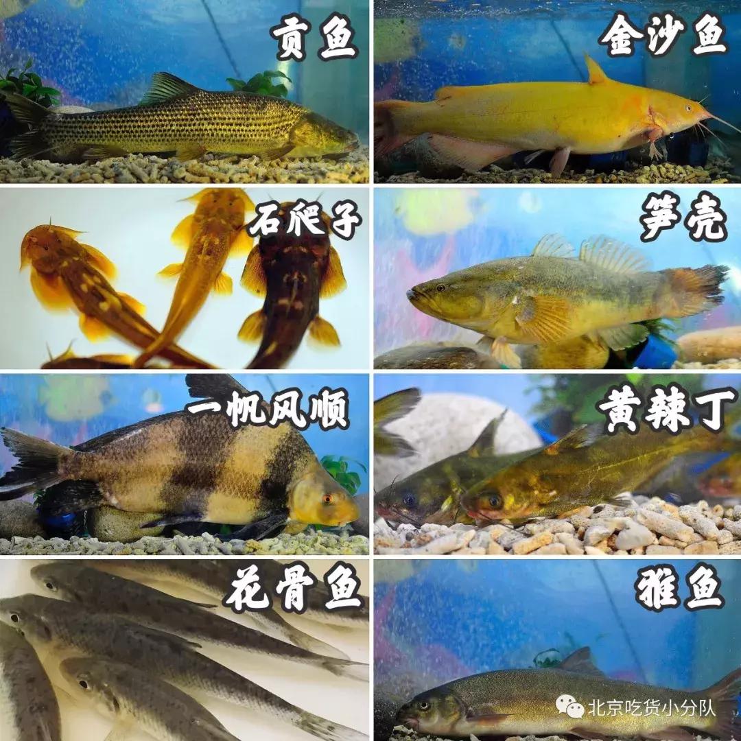 在北京带长辈去哪吃饭？我们帮你选了11家