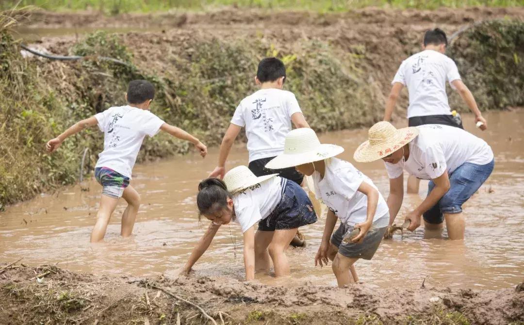 筑梦8年,承包1600亩土地,打造亲子版唐顿庄园,体验庄主生活