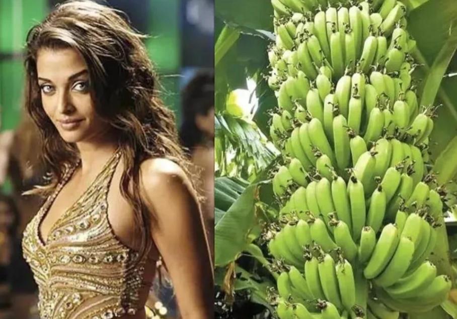 她是印度第一美人,印度第一美女嫁给了25岁的男星