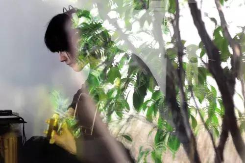 青少年和家长如何正确对待抖音,家长关闭网络游戏看法