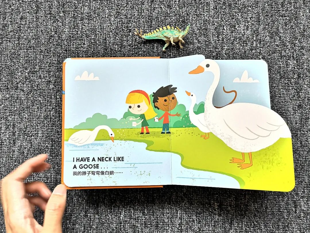 适合孩子看的恐龙科普书,适合5岁孩子看的恐龙科普书