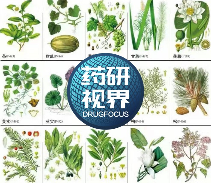 孟鲁司特钠被安全警告,美国fda对孟鲁司特钠黑框警告