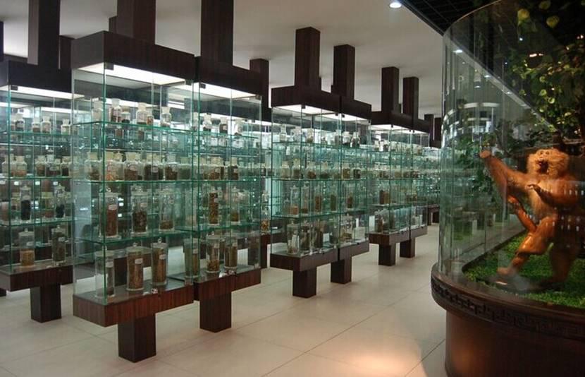 湖南中医药高等专科学校招生官网,湖南中医药高等专科学校招生公告