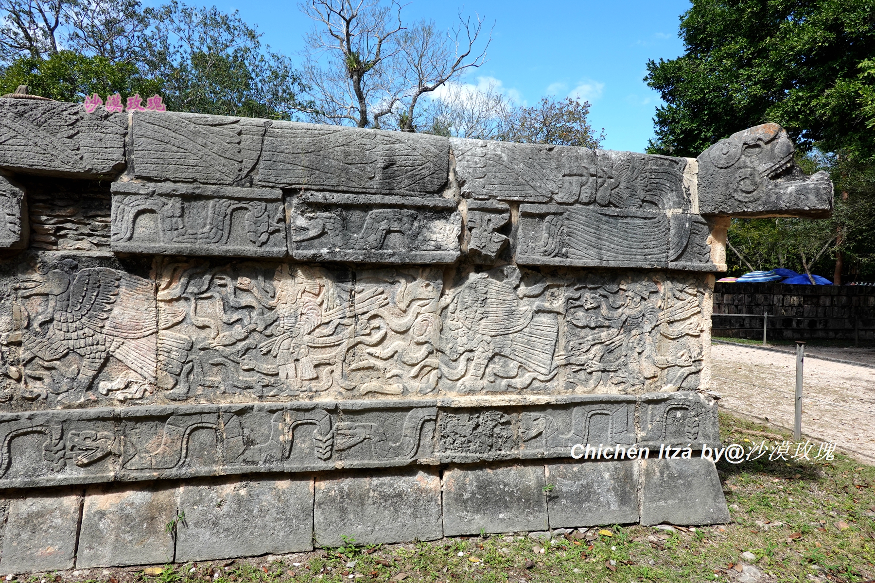 玛雅人大战史蒂夫,玛雅人比赛扔枪