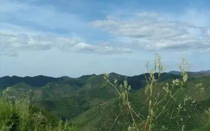 营口必游景点大全排名最新,营口市都有哪些旅游景点好玩