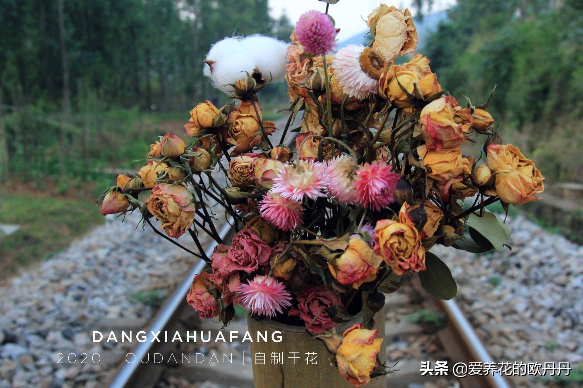 干花diy相框儿童,干花diy相框自制