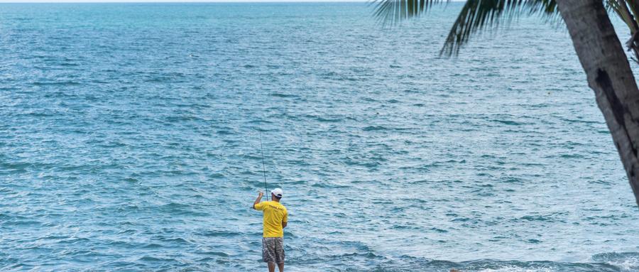 「日本专业海钓入门投钓书籍」看海钓投钓鱼竿日本钓手如何选