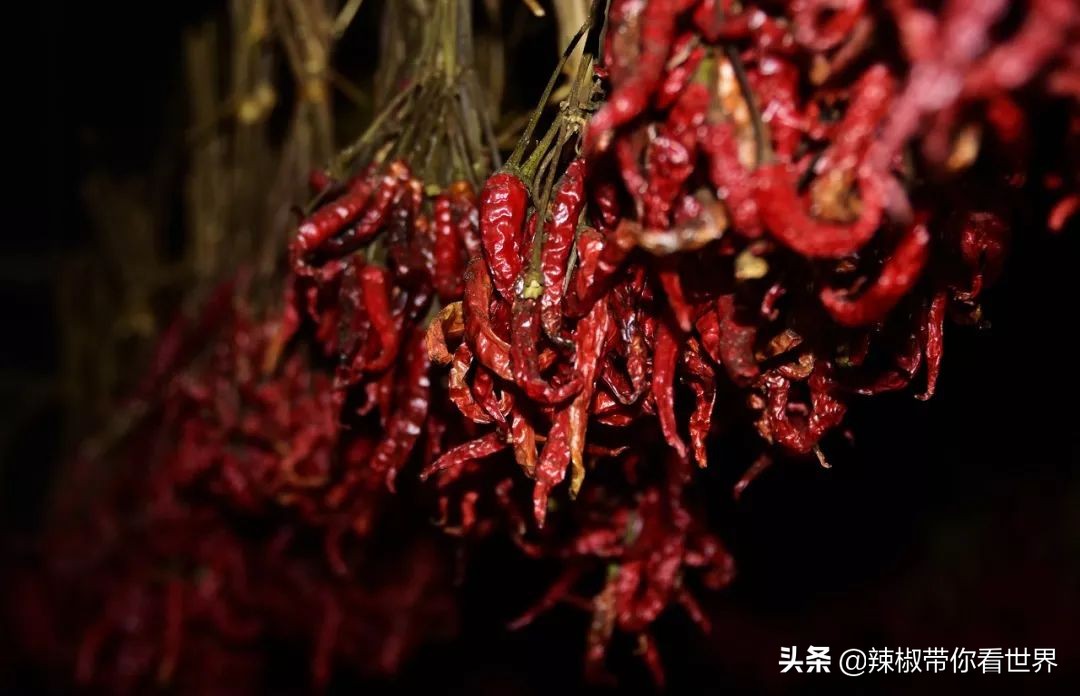 从西到东：贵州——沿河流“黔”行在这里一万种辣椒吃法向你奔来