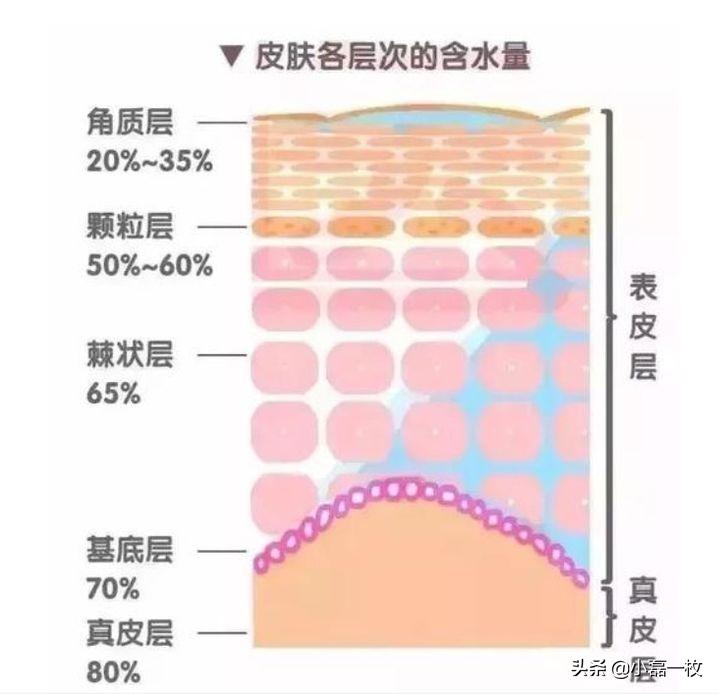熬夜脸蜡黄暗沉怎么调理,经常熬夜脸色蜡黄喝什么汤水调理