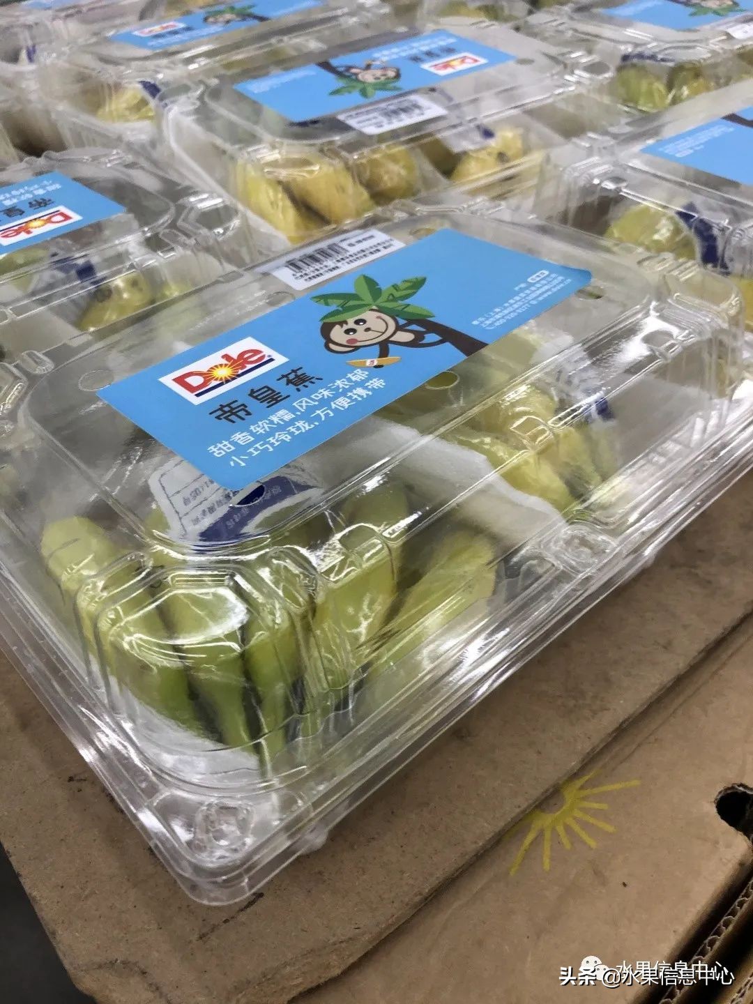 中秋节前，走访两家水果零售店，水果标准化在这里体现的淋漓尽致