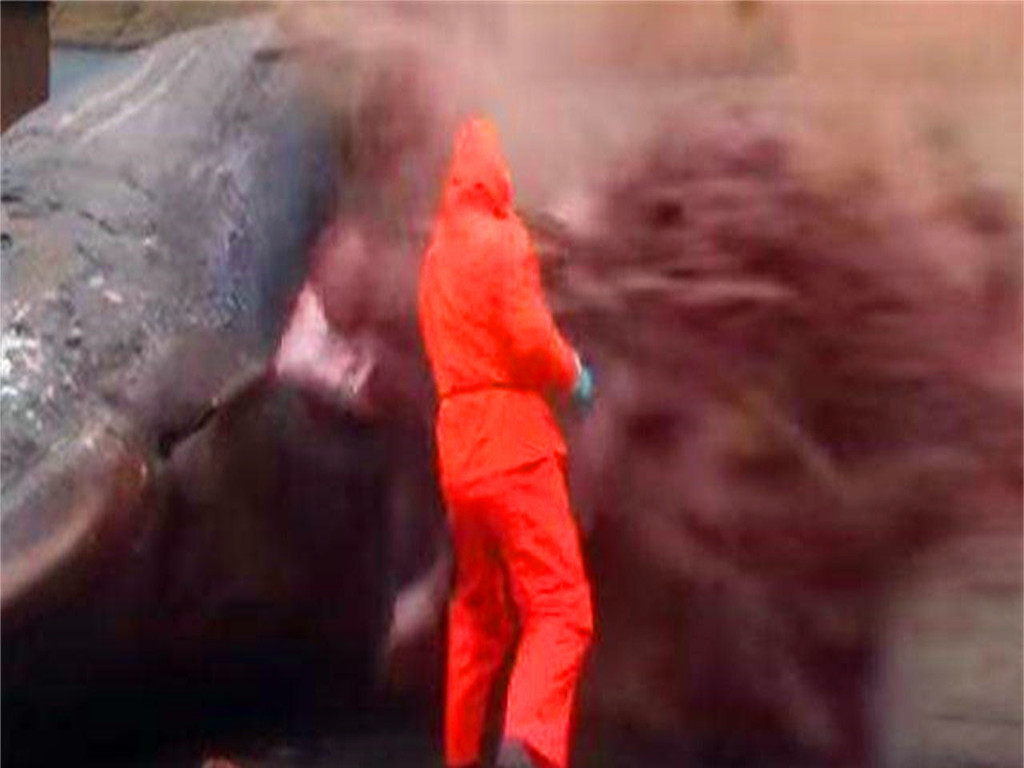 在沙漠上遇到死骆驼要离开吗,在沙漠里死掉的骆驼为什么不能碰