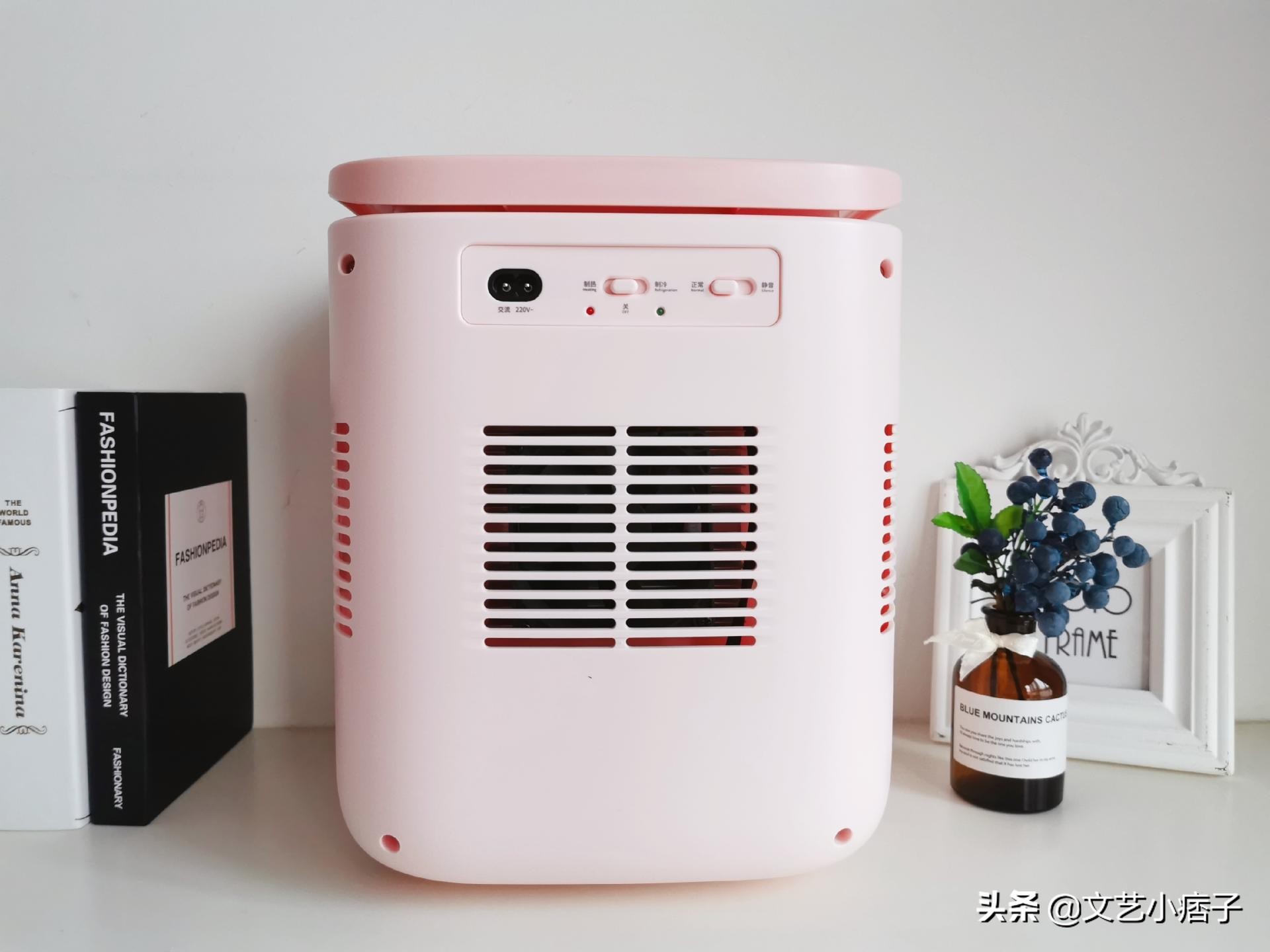 倍思小冰箱的原理,倍思静音小冰箱