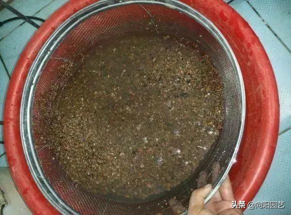 蜂窝煤可以当多肉颗粒土使用吗,蜂窝煤煤渣和松针土养多肉的效果