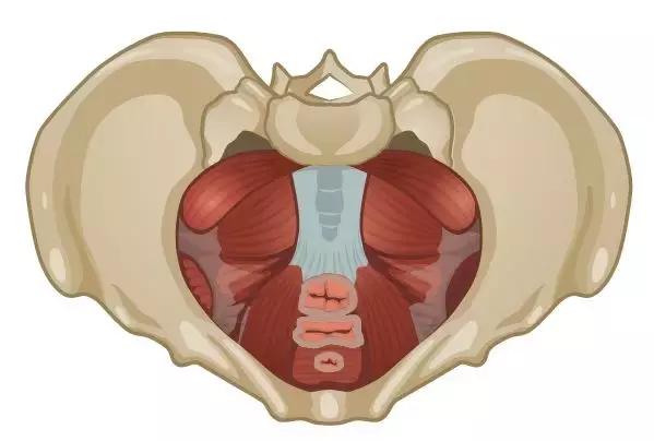 ella自曝产后尿失禁,ella自曝产后的反应