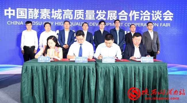 中国酵素城起航,中国酵素城座谈会